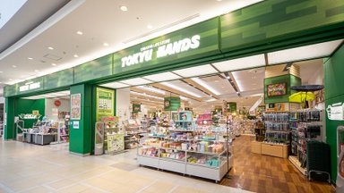 haru �V�����v�[ ���}�n���Y